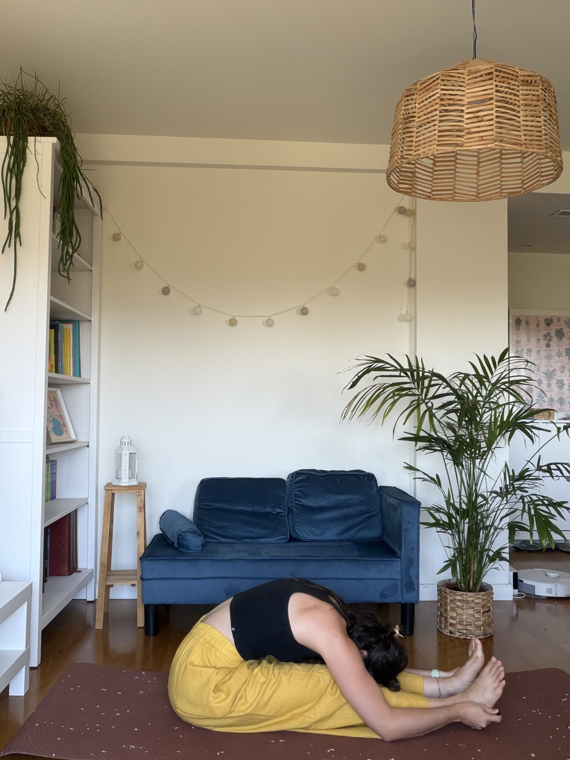 Ashtanga yoga positions